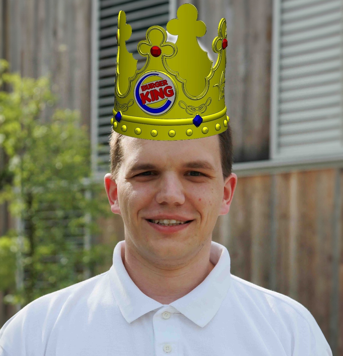 Portrait von Herwig Guggi